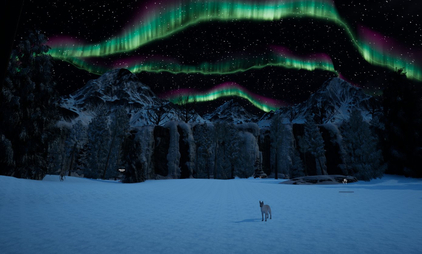 A snowfield at night under a green and magenta aurora, with a white sled dog standing in the snow.